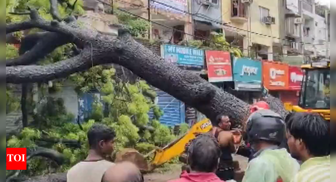 Tree fall, wall collapse: Delhi rain havoc claims 3 lives in 12 hours; AAP seeks PWD minister’s resignation | India News