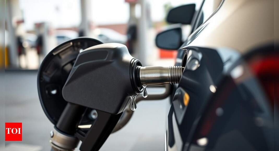 E20 rollout sparks consumer concerns: Mileage dip, engine woes reported — what car owners say about use of ethanol-blended petrol