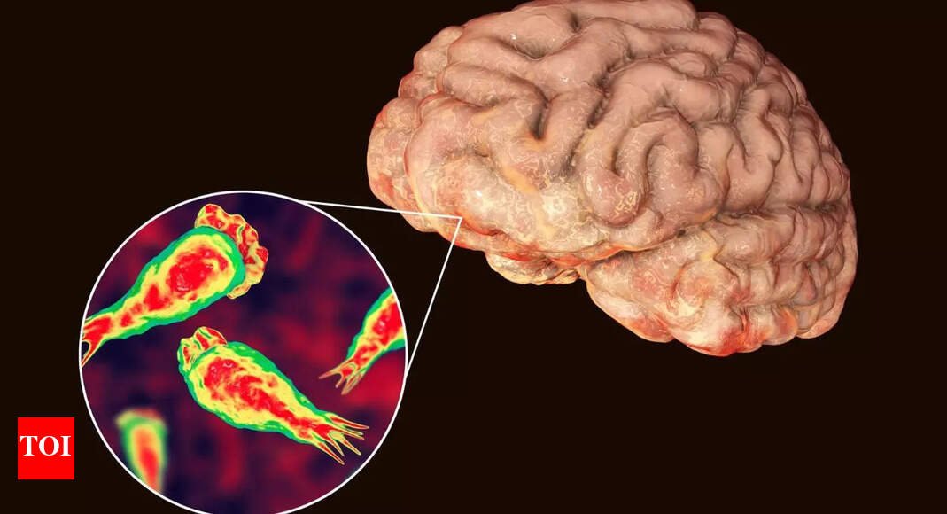 Brain-Eating Amoeba Symptoms: 9-year-old girl dies due to ‘brain-eating amoeba’ in Kerala, 4th death caused by contaminated water body: What is Amoebic meningoencephalitis? Signs and symptoms |