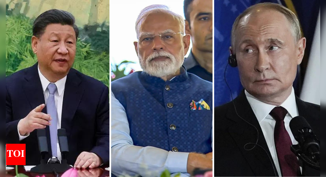 ‘Sooner than later’: Russian envoy on PM Modi, Putin & Xi trilateral; calls US ‘sanctions’ on India unjustified | India News