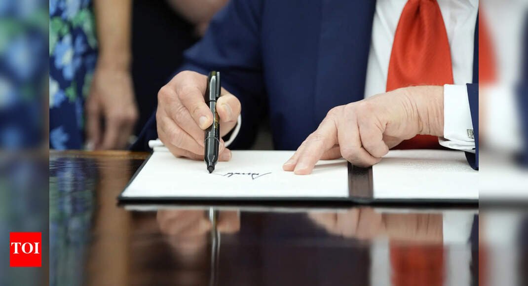 ‘You never see the person again’: Trump signs executive order to block cashless bail — why some call it fair, others dangerous