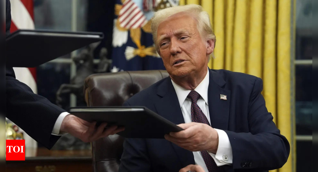 ‘Obstacles to free trade’: German envoy backs India on Trump tariffs; calls for slashing duties to minimum | India News