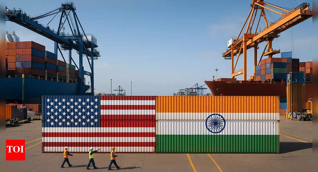 ‘Deal dependent upon…’: India indicates no compromise on red lines for US trade pact; ‘we cannot overlook some..’