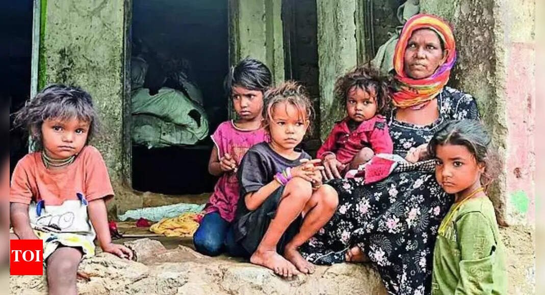 Udaipur woman’s 17th delivery at 55 sparks probe: Case highlights family planning gaps in tribal areas | Jaipur News