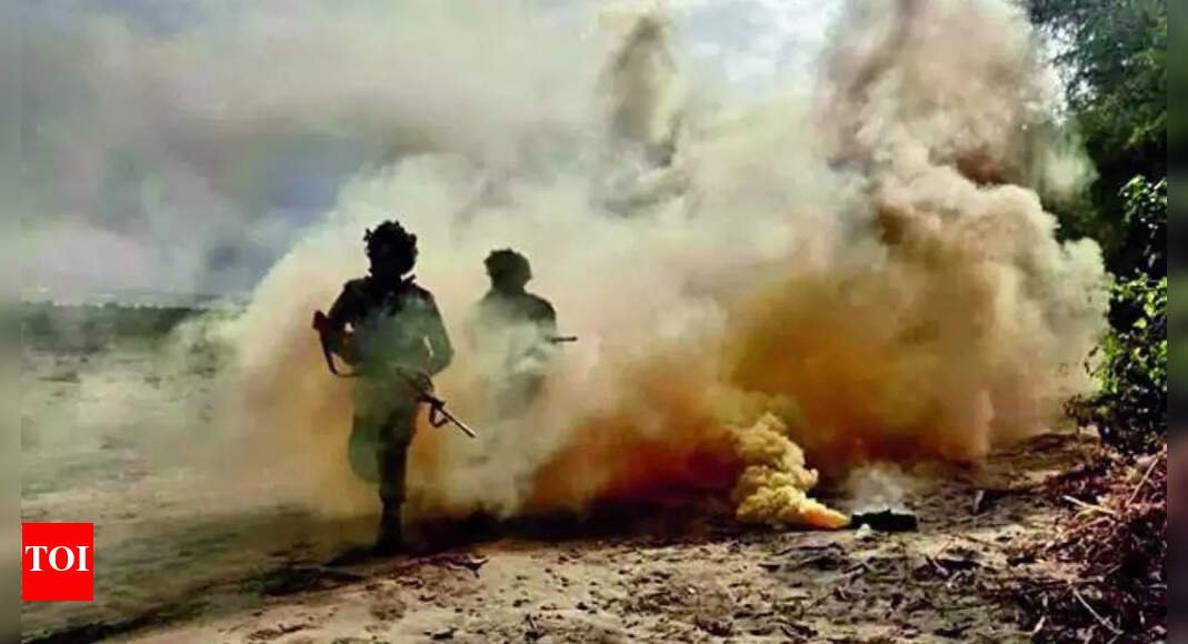 Bhairav commandos to add muscle to Army by October 31 | India News