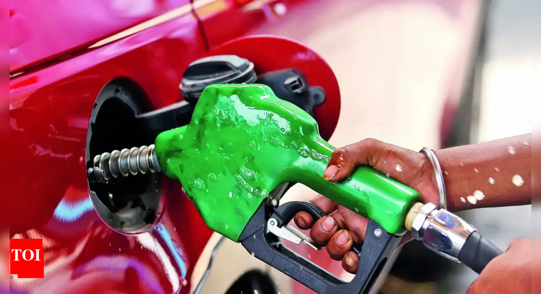 Auto cos, oil industry dub public concerns around E20 fuel as ‘hearsay and misinformation’