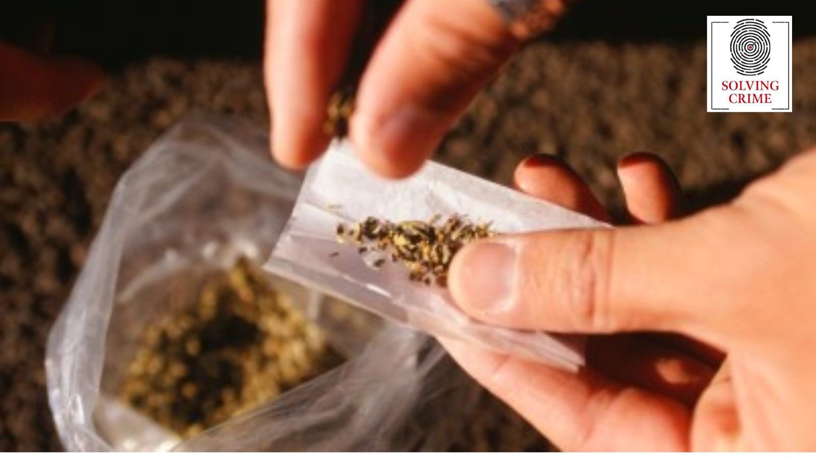 Solving Crime | Revisiting a 1987 drug haul: how ‘mango chutney’ consignment from Vikhroli to London turned out to be 4,365 kg hashish hidden in drums