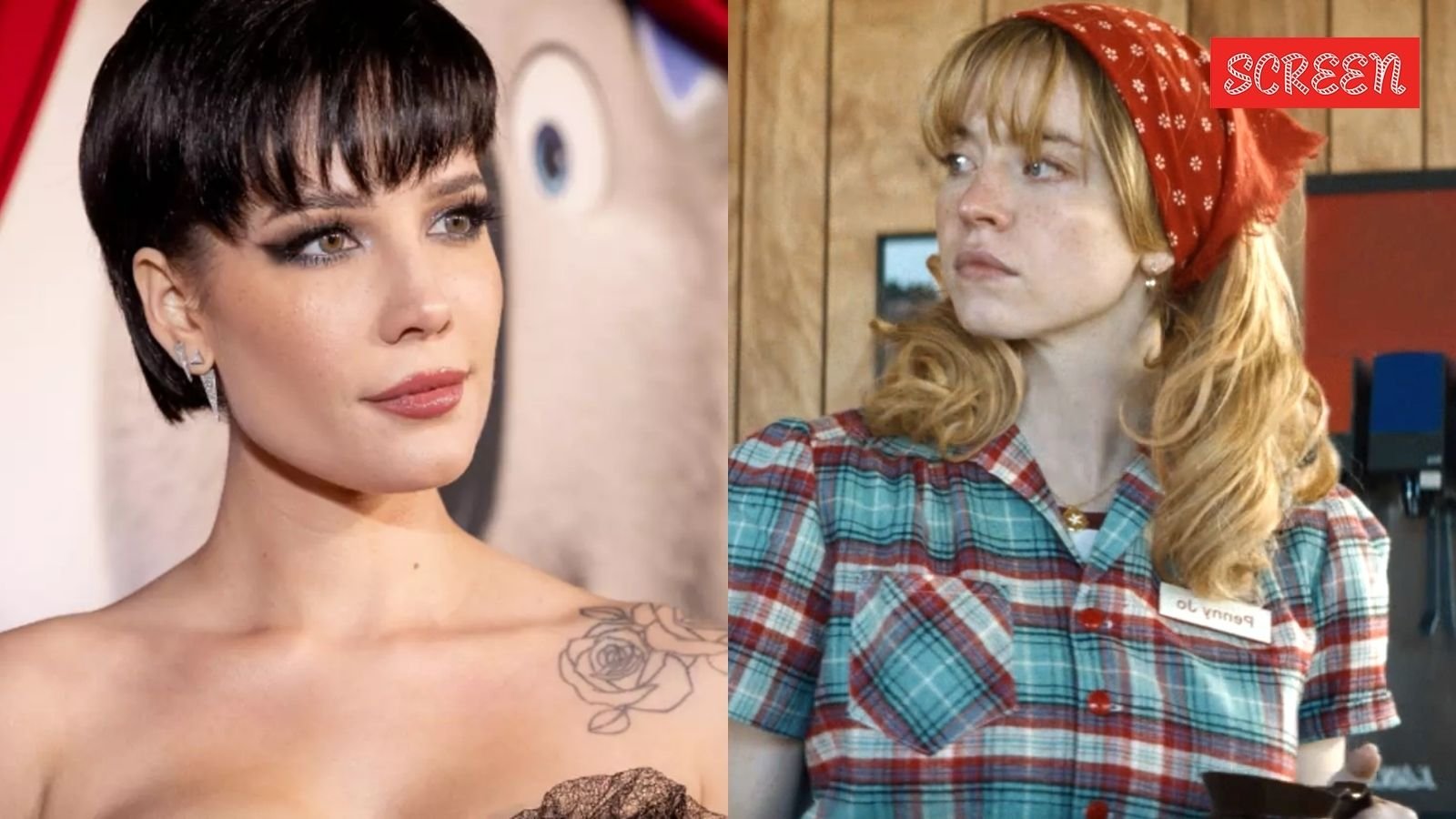 ‘Internet’s garbage losers’: Sydney Sweeney’s co-star Halsey and comedian Matt Rife slam fans for boycotting Americana over denim drama | Hollywood News