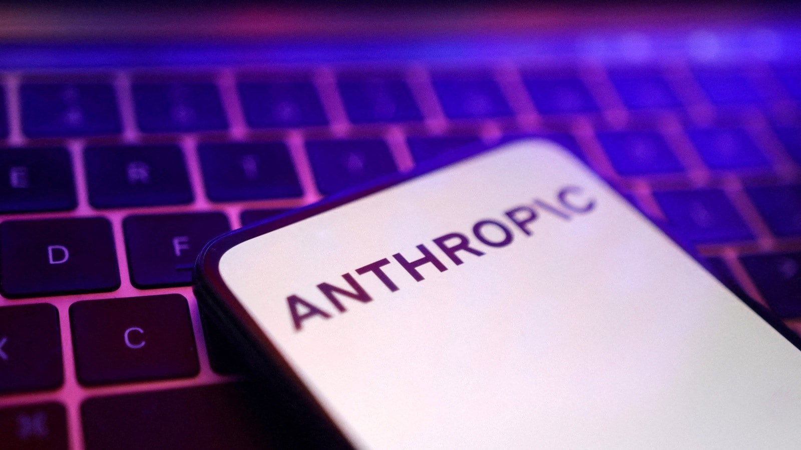 Anthropic settles class action from US authors alleging copyright infringement | Technology News