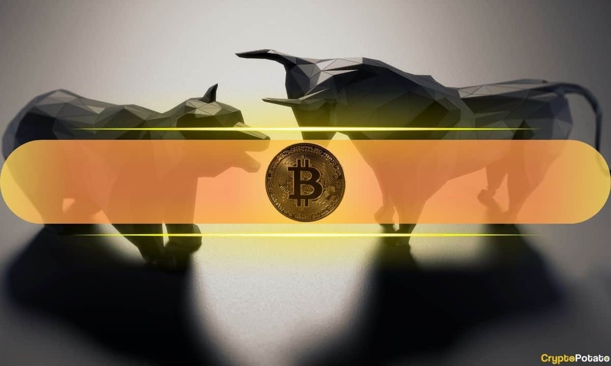 What On-Chain Data Means for BTC’s Future