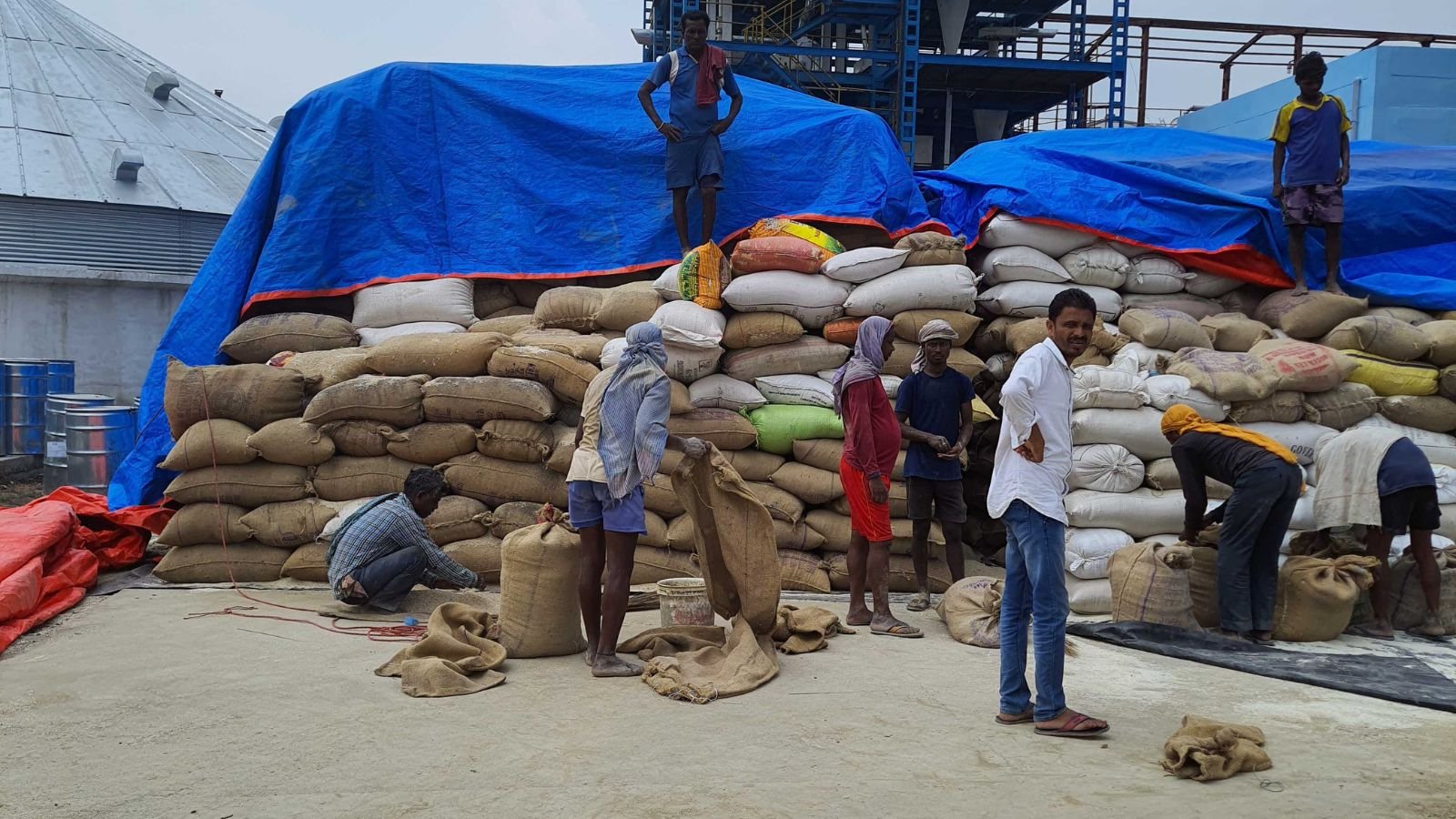 To ensure-year-round ethanol production: Natural Sugar and Allied Industries Limited first mill in state to opt for dual feed | Pune News