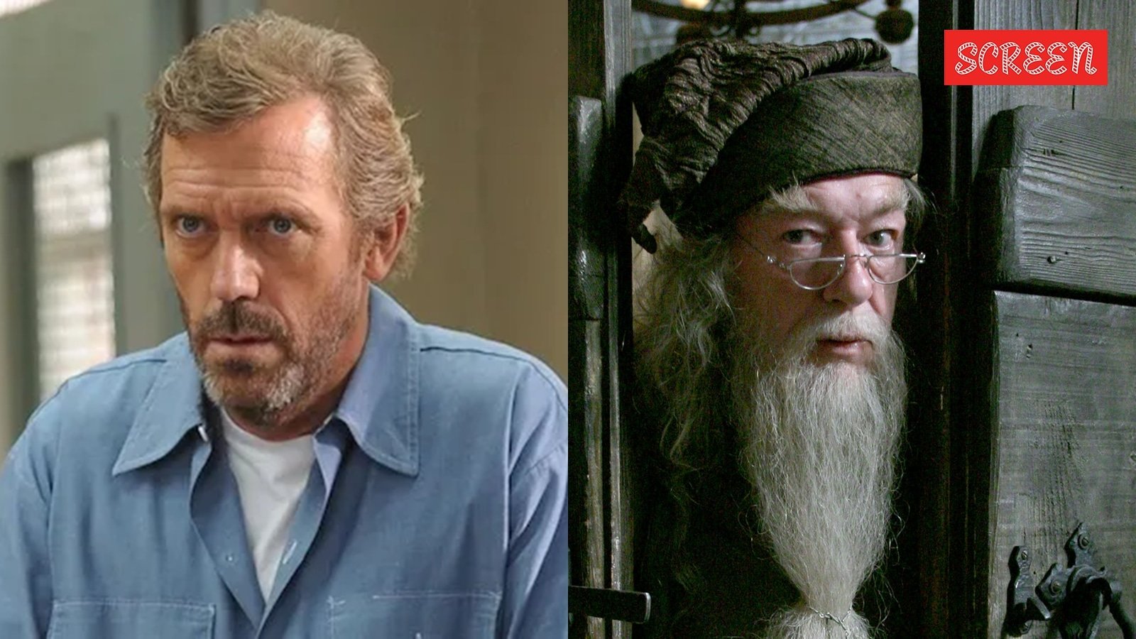 Riz Ahmed to voice Snape in new Harry Potter audiobook, Hugh Laurie to voice Albus Dumbledore | Hollywood News