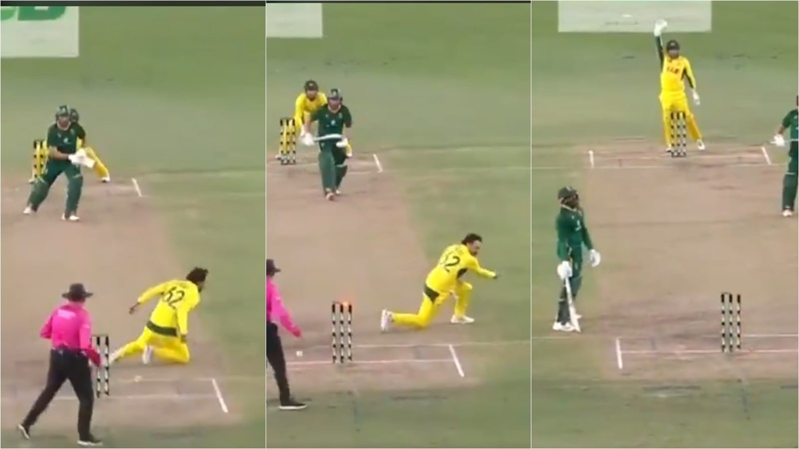 WATCH: Travis Head accounts for bizarre run out of Prenelan Subrayen in 1st AUS vs SA ODI | Cricket News