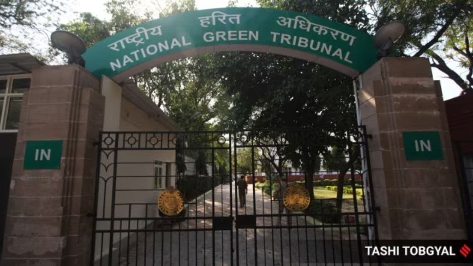 Bijwasan Railway Project awaits forest dept clearance: Construction activity on deemed forest land has damaged 91 trees, NGT told | Delhi News