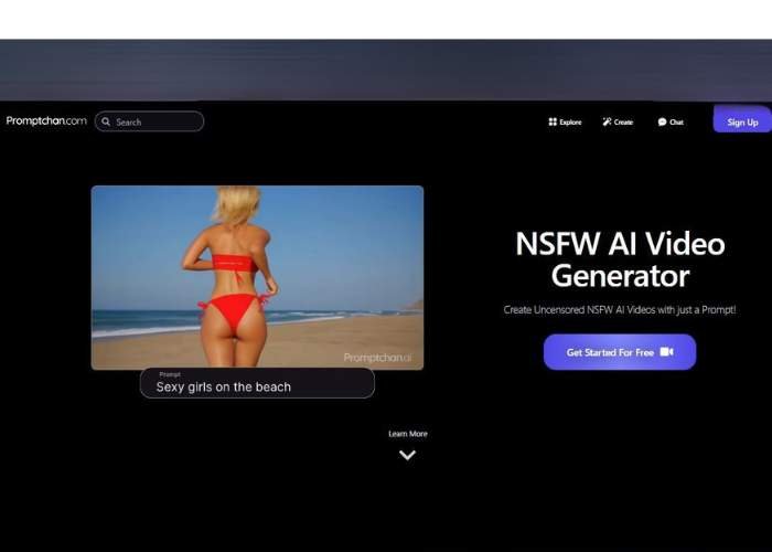 Tried Promptchan Video Generator for 1 Month: My Experience