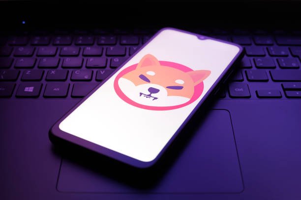 Shiba Inu Open Interest Crashes From 8 Million July Peak To 0 Million, What’s Going On?