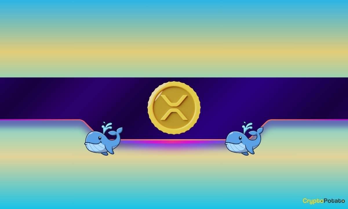 Will This Crucial Support Finally Halt XRP’s Freefall as Ripple Whales Return?
