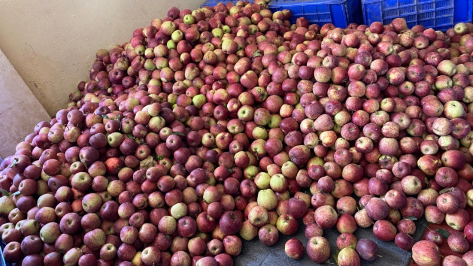 50,000 cartons of apple stranded between Kullu, Mandi: Vikramaditya Singh | Chandigarh News