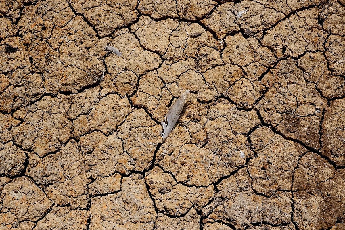 UK Heat Wave Cuts Wind Output, Exposing Power Supply Gaps