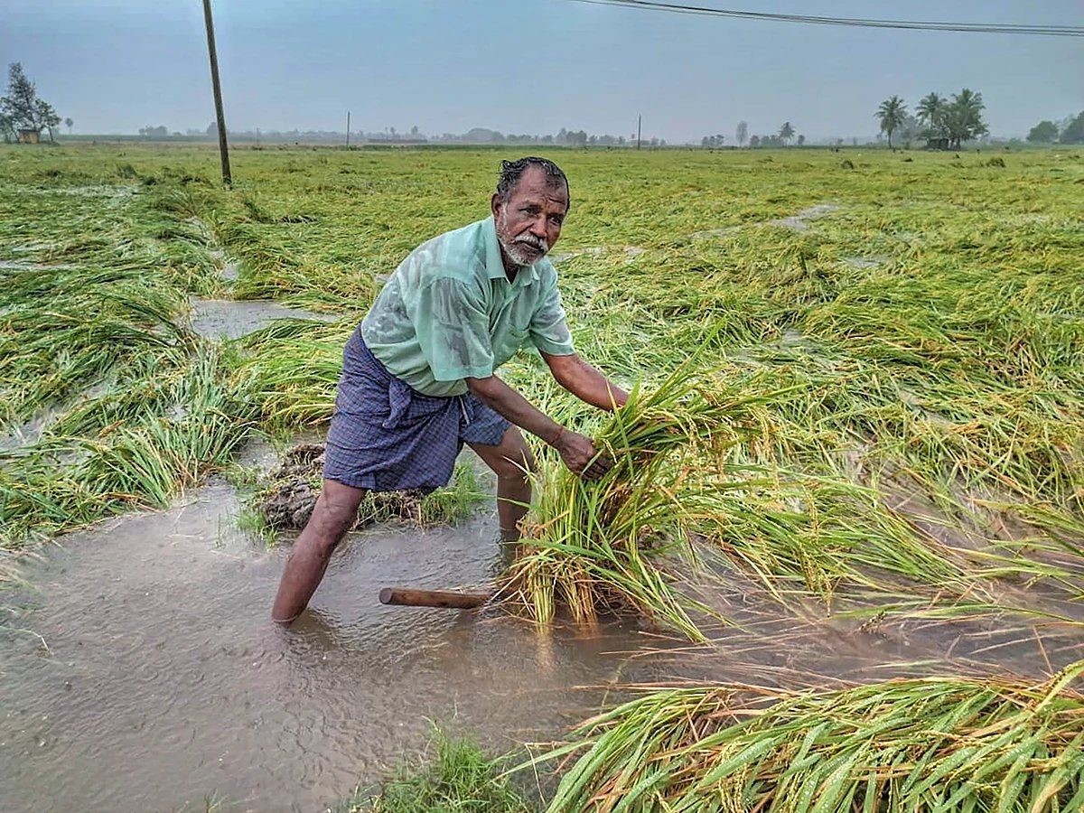 Tamil Nadu Government To Provide Rs 17,000 Crore Crop Loans To Farmers