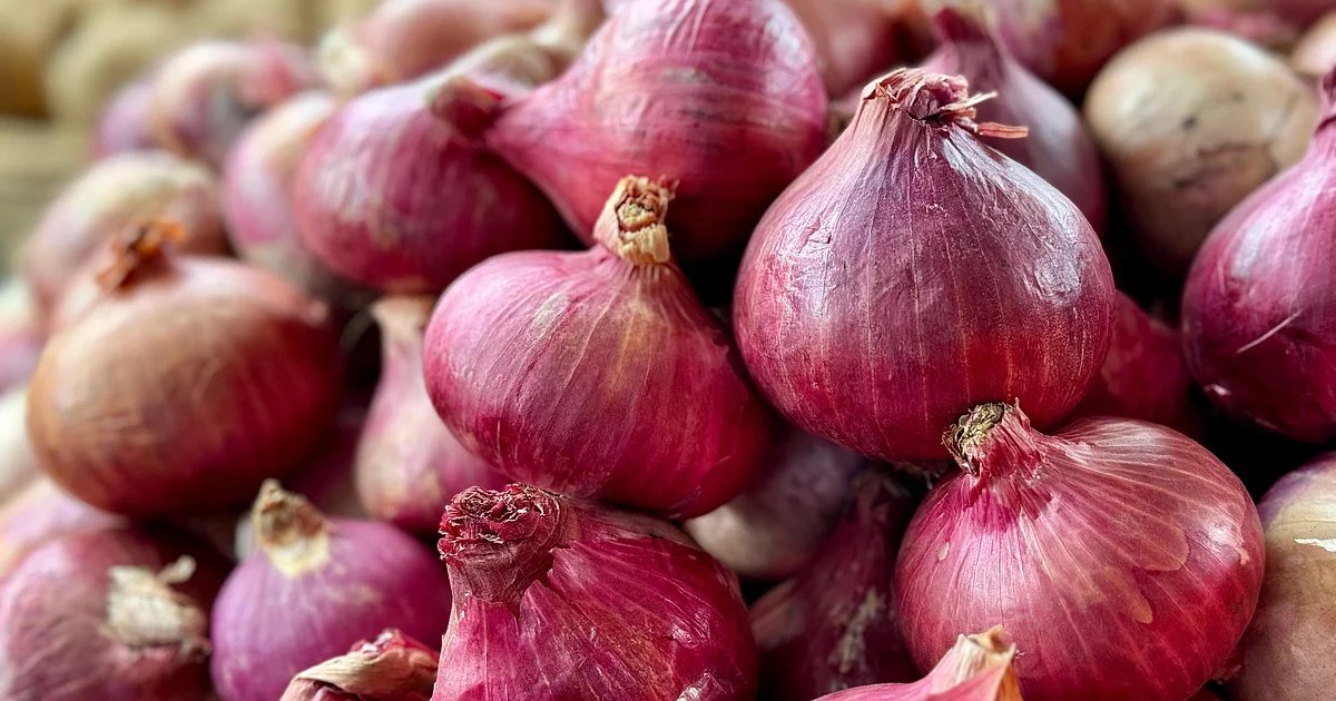 As Prices Fall, Onion Growers Want Maharashtra CM To Chair Urgent Meet In Lasalgaon