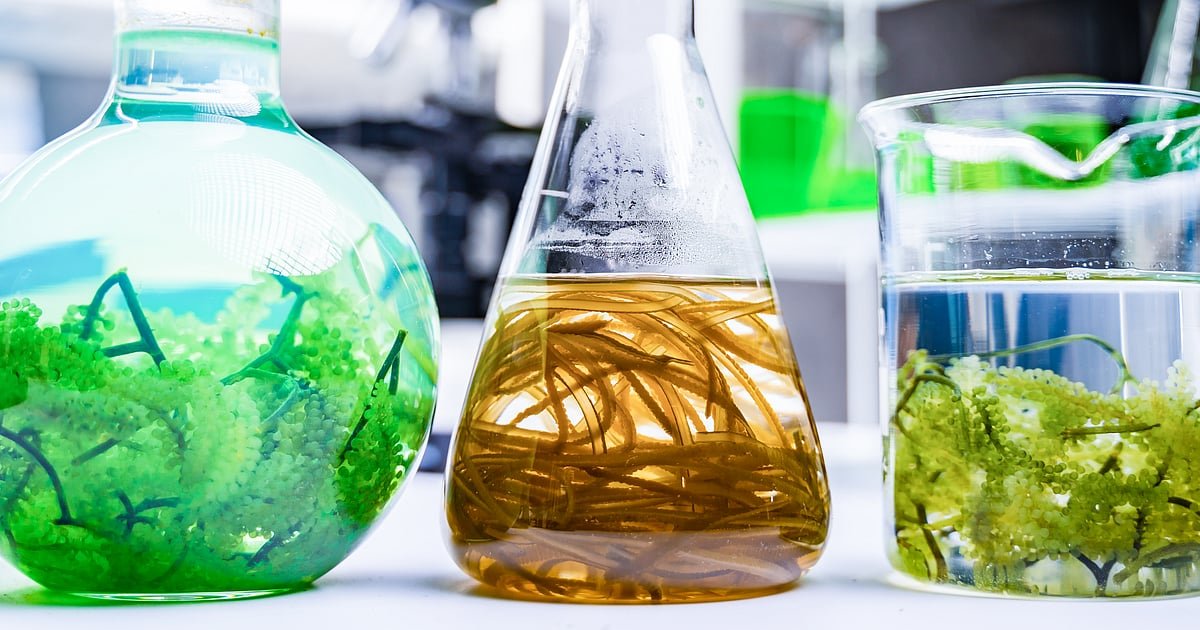 Industry Voices Weigh In At GreenRev2025