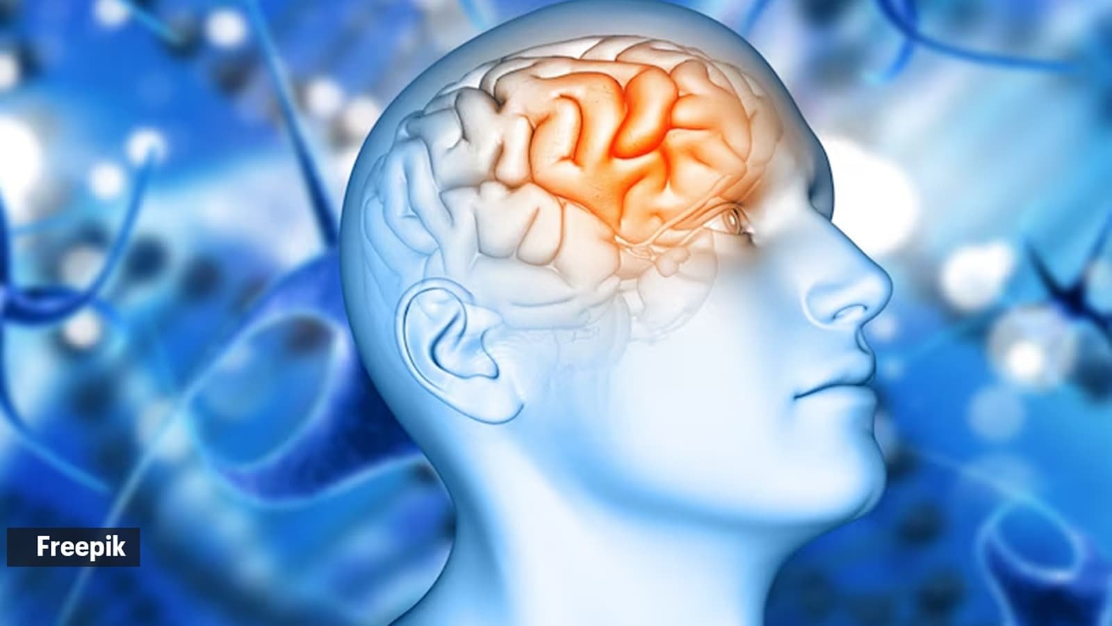 Gastroenterologist lists 5 things he does for his brain health: ‘Last one is also great for your gut’ | Lifestyle News