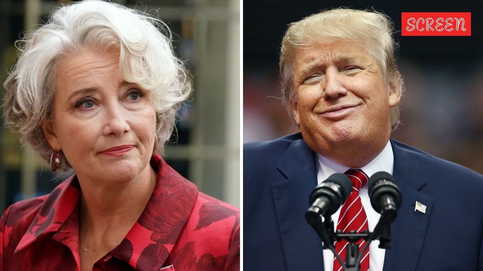 ‘Donald Trump asked me out right after my divorce’: Emma Thompson claims she could have changed the course of American political history | Hollywood News