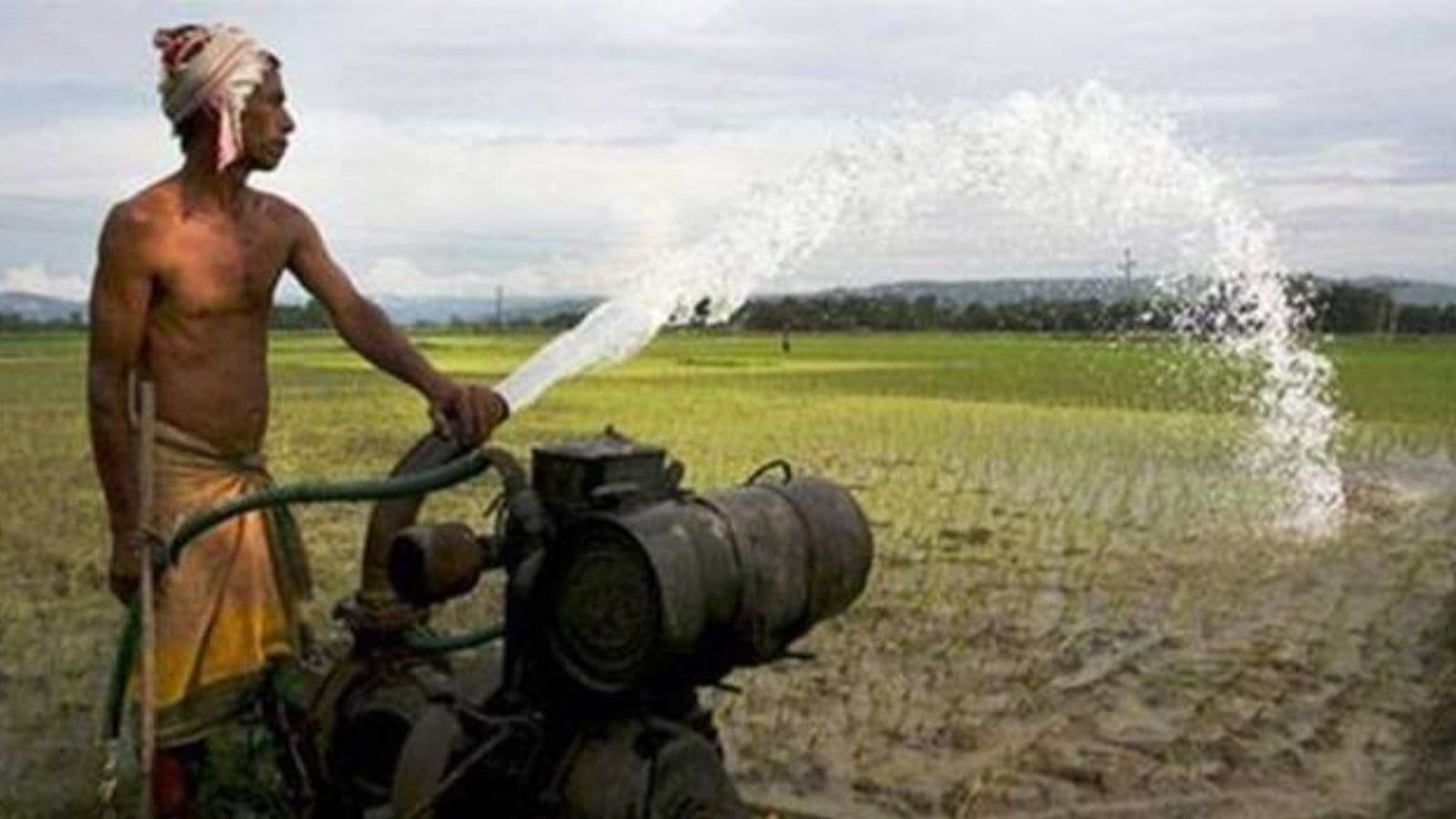 Gujarat govt starts control rooms to deal with issues related to fertilizers, launches helpline numbers | Ahmedabad News