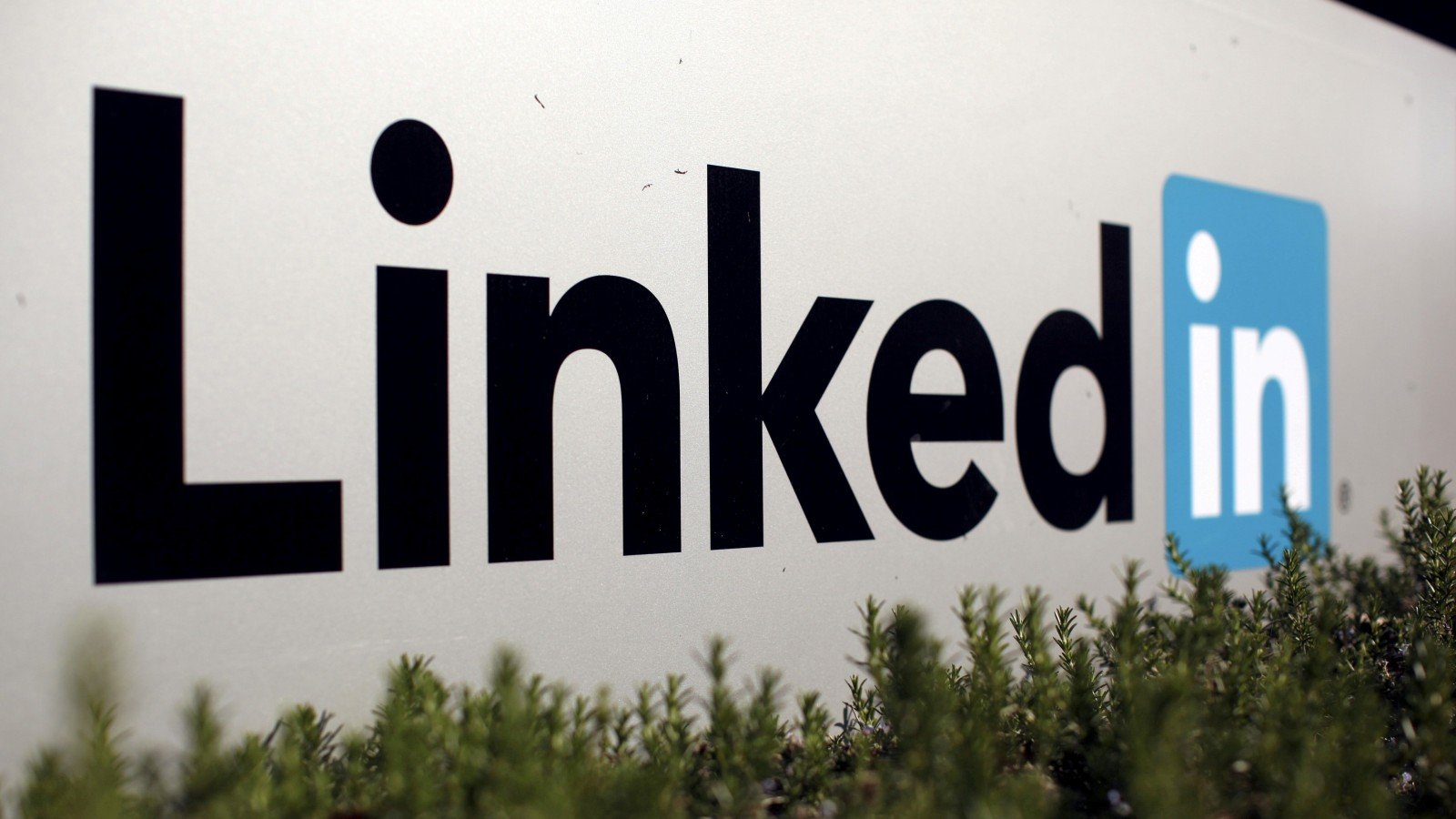 LinkedIn rolls out ‘Mini Sudoku’ puzzle game created with world champion Thomas Snyder | Technology News