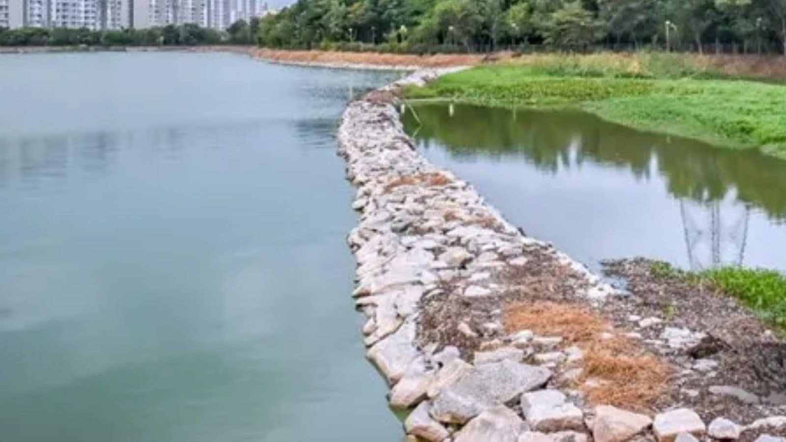 NGT takes suo motu cognisance of buffer zone reduction around lakes in Karnataka | Bangalore News