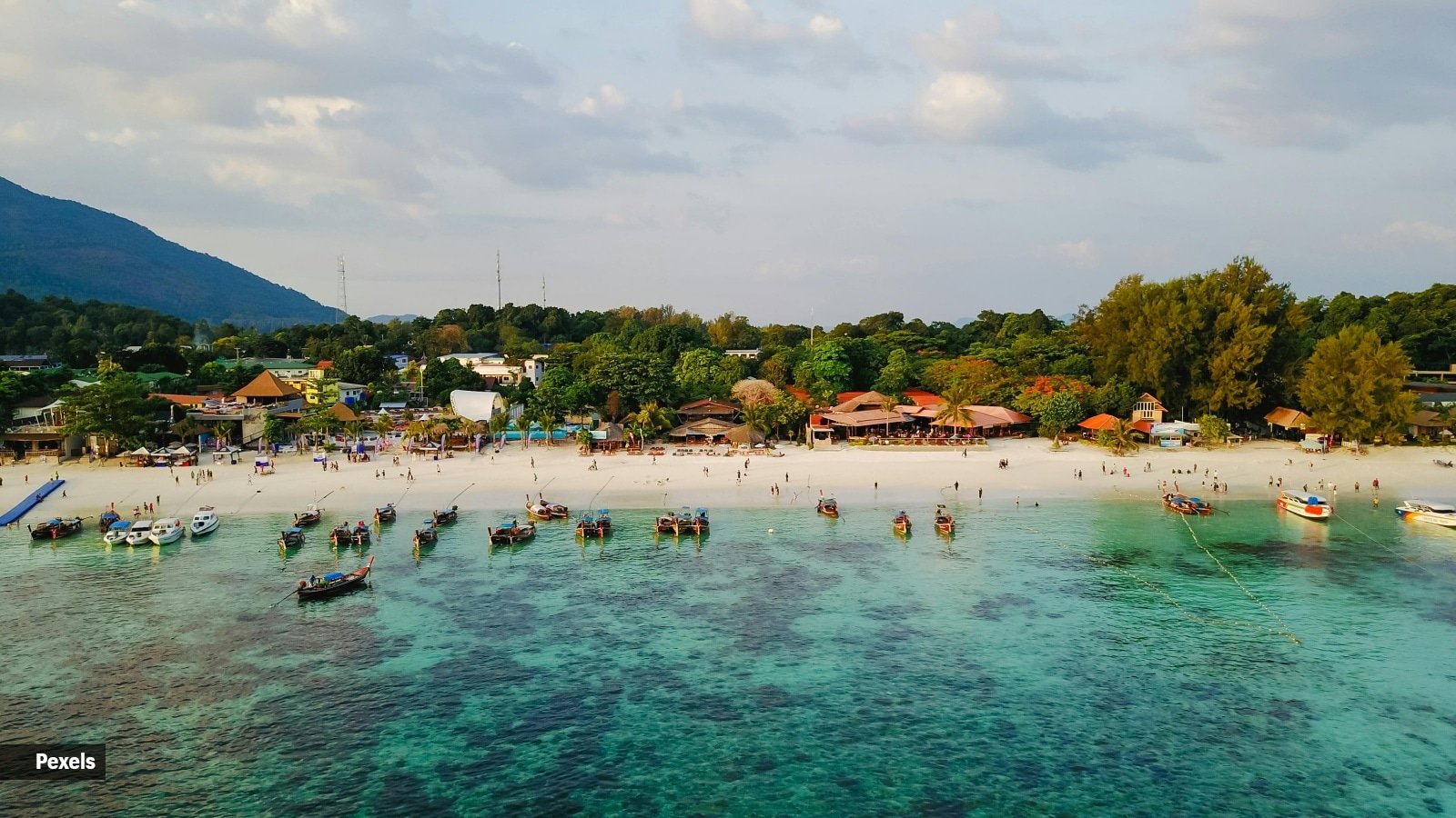 This country is offering free domestic flight tickets to Indians. Here’s everything you need to know | Destination-of-the-week News