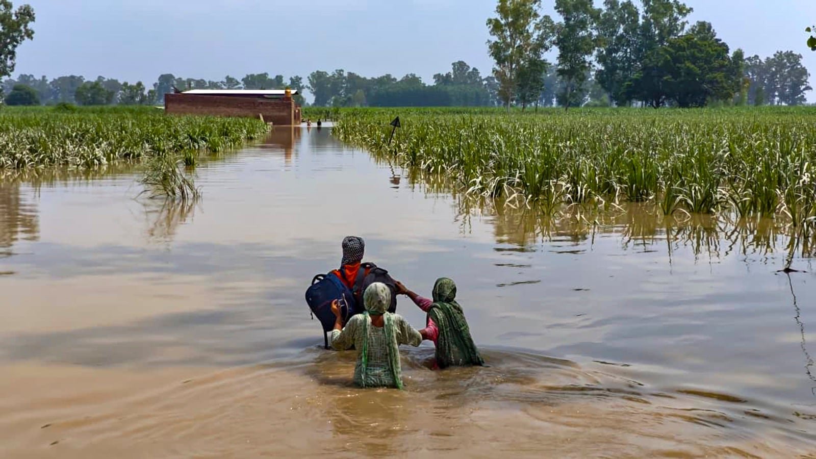 In Punjab’s Sultanpur Lodhi, a flood relief camp offers aid to humans and animals alike | Chandigarh News