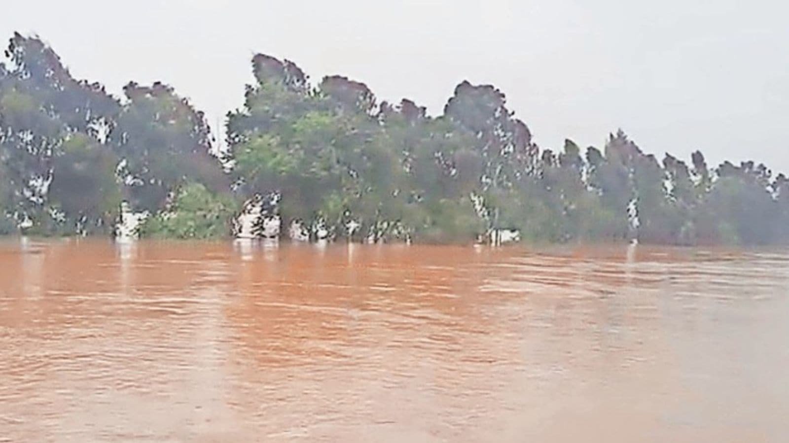 Harike Headworks sheds 1.7L cusecs, water to reach Sutlej creek tonight