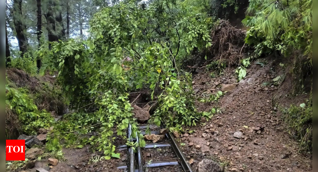 Himachal landslides claim 5 lives amid relentless rains | Chandigarh News
