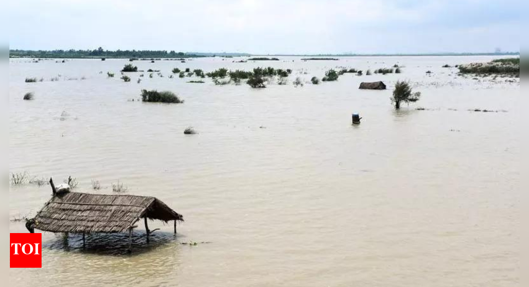 Delhi braces for floods as Yamuna nears danger mark; CM Rekha Gupta says evacuation underway | Delhi News