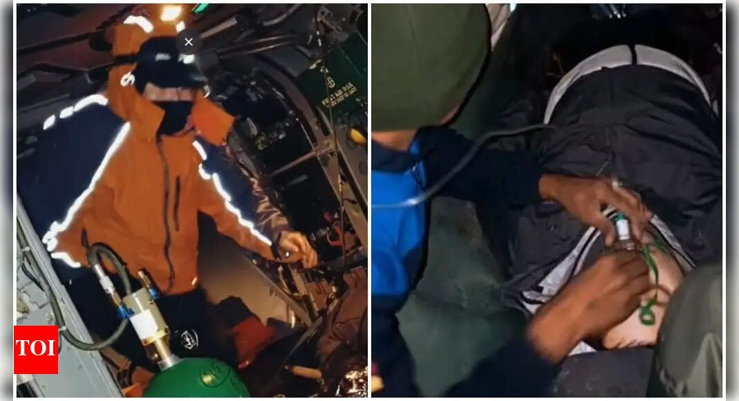 Two South Korean mountaineers rescued in Ladakh, one dies | India News