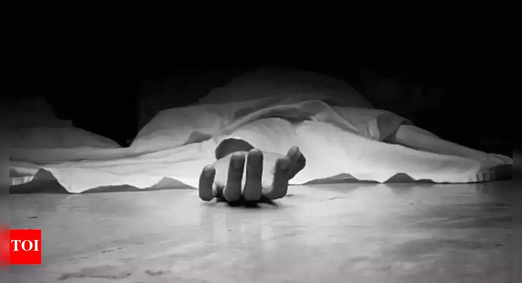 Jammu and Kashmir cop dies as boulder crashes on him in landslide; IAF airlifts two patients to Udhampur | India News