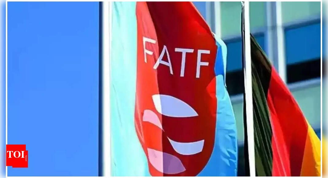 FATF lauds work of MHA’s portal for international cooperation | India News