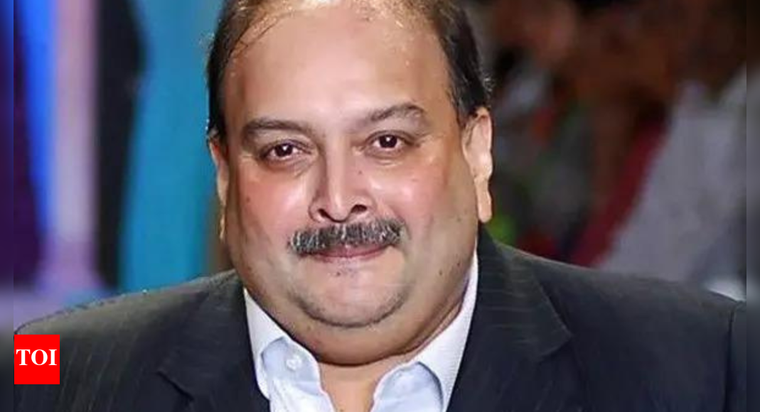 PNB scam case: India assures Belgium on Mehul Choksi detention; safeguards outlined for extradition | India News