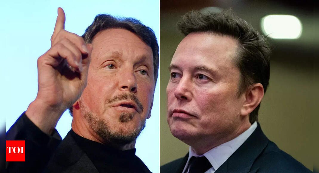 Who is the world’s richest person? Elon Musk snatches back crown from Larry Ellison; check their net worth