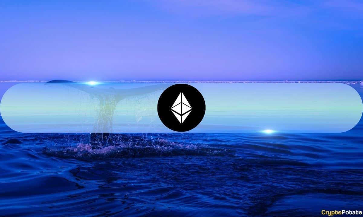 Ethereum Mid-Sized Whales See Unrealized Profits Soar to 2021 ATH Levels