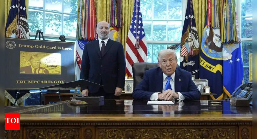 To cost up to  million: What Trump Gold card looks like? How it differs from Corporate Gold & Platinum
