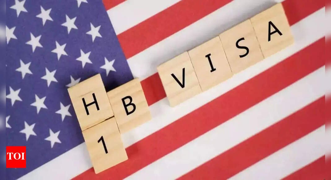 Top H-1B sponsoring companies in 2025: Amazon, Microsoft, Google, Apple, and Meta leading US career opportunities | World News