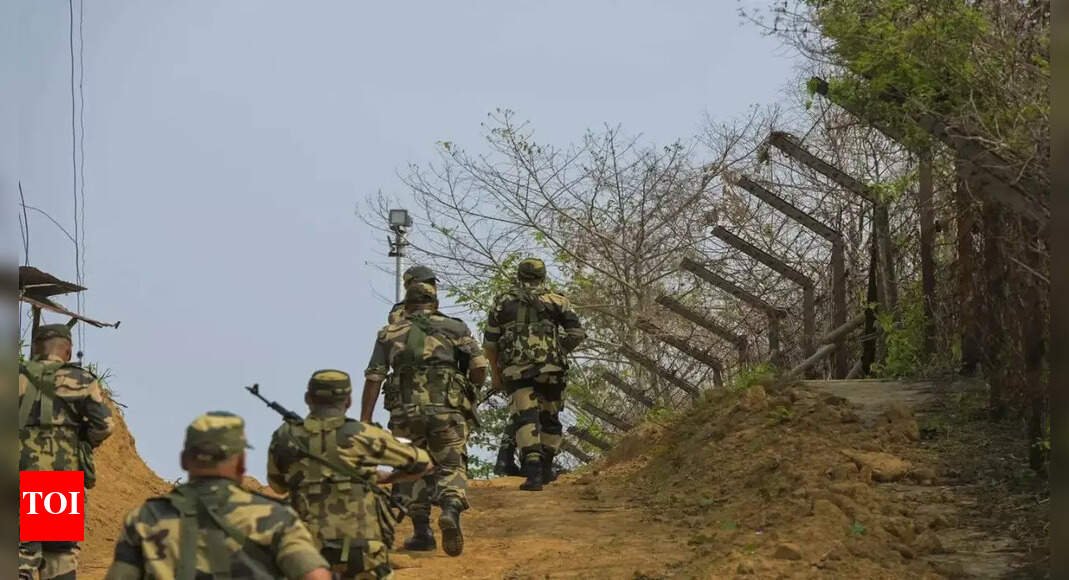 BSF foils infiltration bid along international border, detains Pak intruder | India News