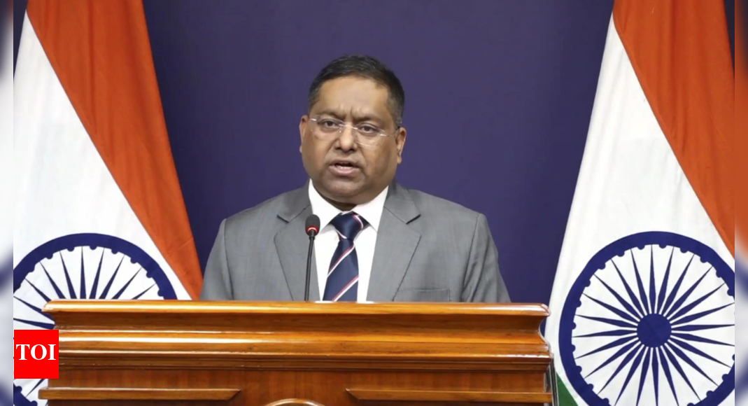 0k fees for H-1B visa: India assures continued talks with US; focus on ‘skilled talent mobility and exchange’