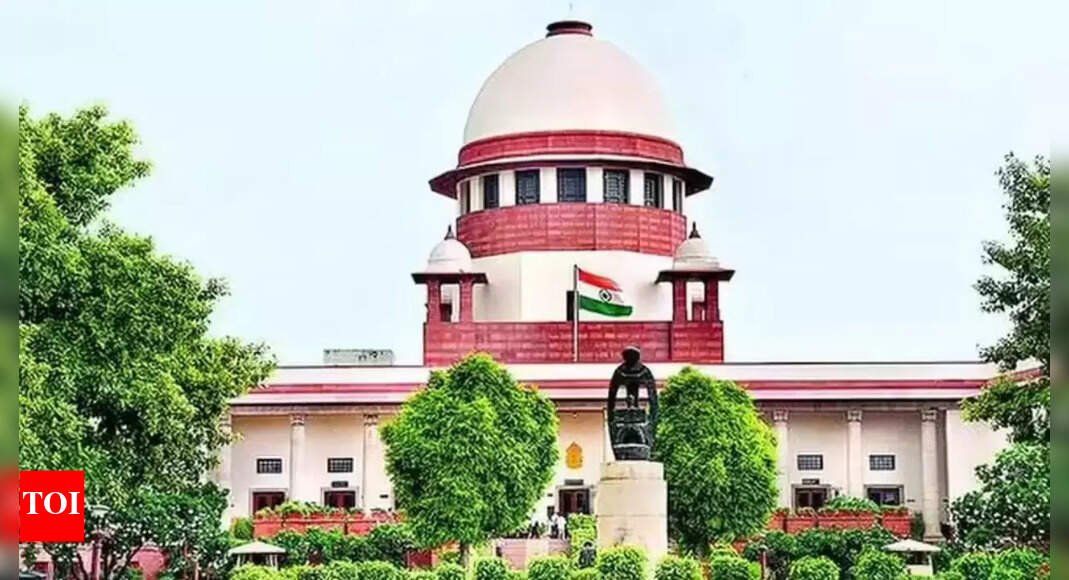Voter registered in multiple seats can’t contest polls: Supreme Court | India News