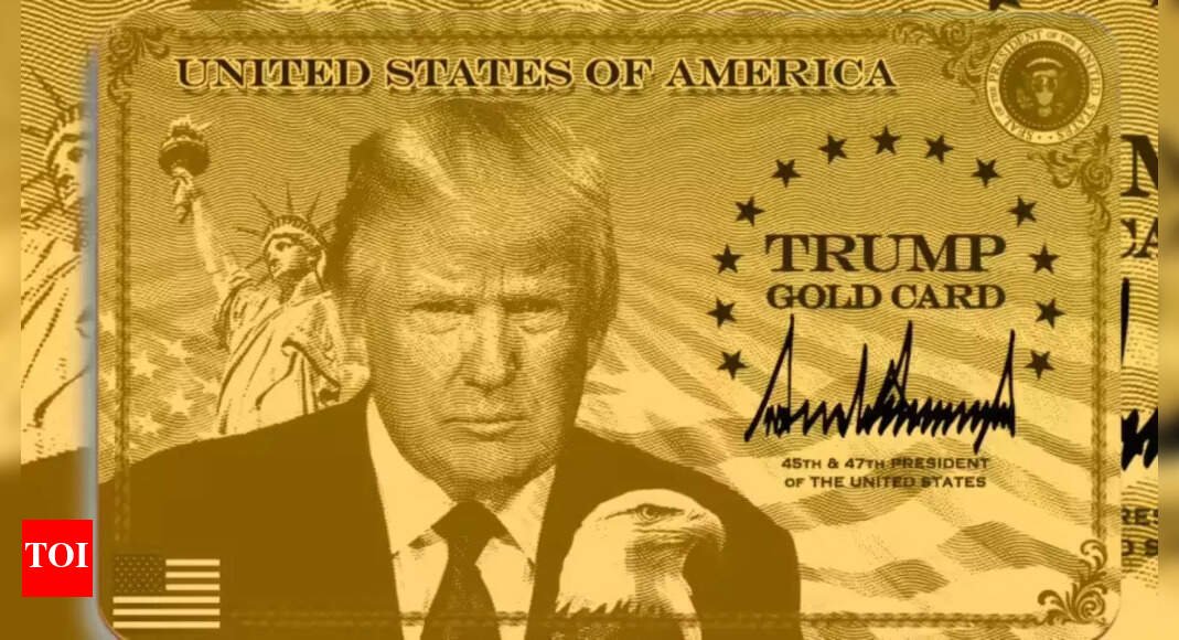 US Gold Card: After H-1B visa fee hike, Trump’s new card draws sharp rise in applicants chasing American dream – ‘interest gone up since revisions’
