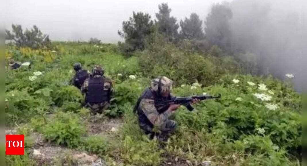 Two infiltrators killed along LoC | India News
