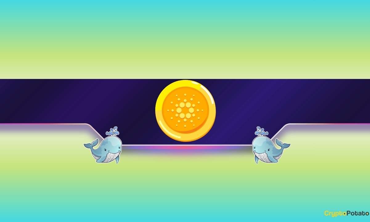 Is Cardano Poised for a Price Pullback?